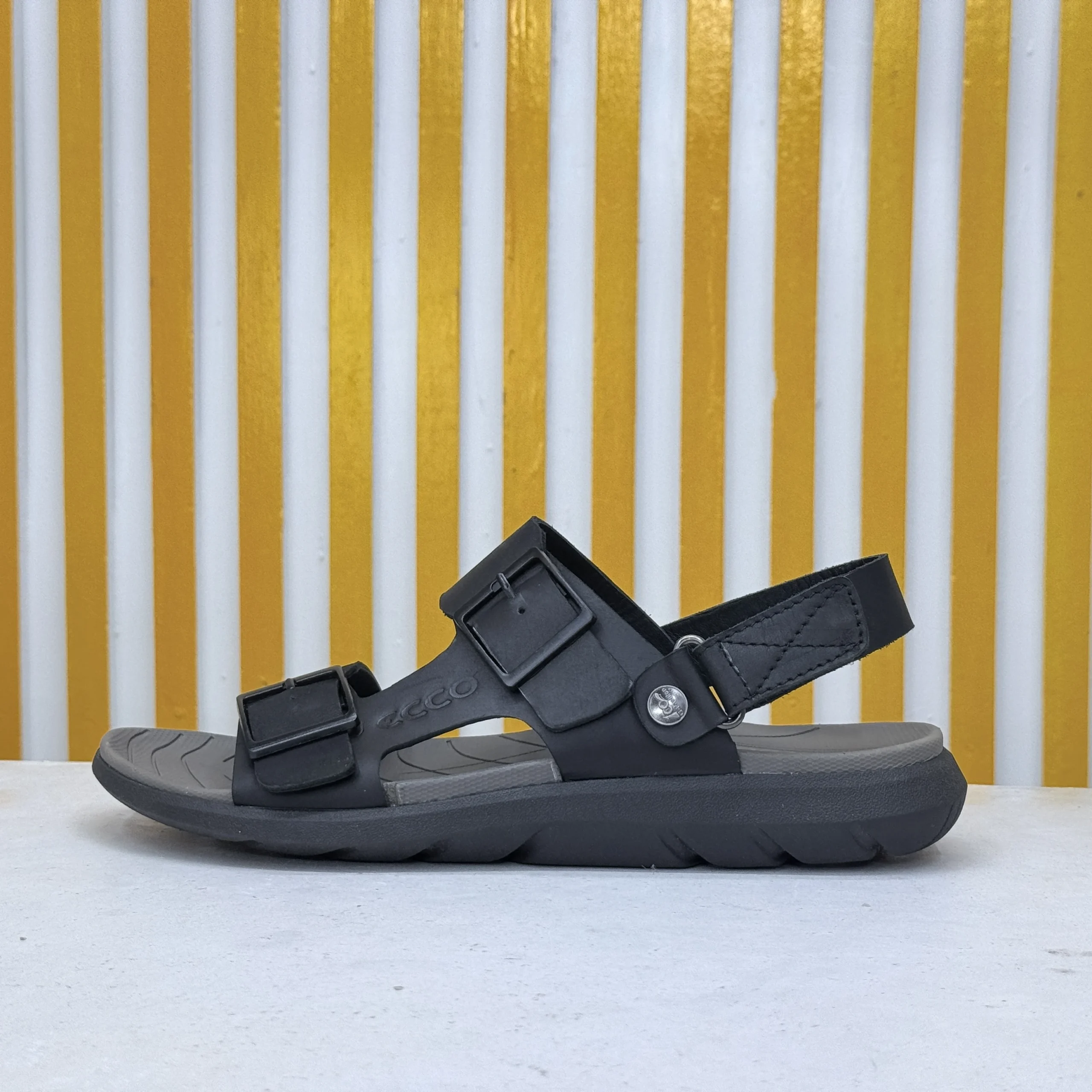 Sandal Shoe (0036 B)